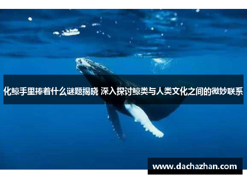 化鲸手里捧着什么谜题揭晓 深入探讨鲸类与人类文化之间的微妙联系 化鲸手里捧着什么谜题揭晓 深入探讨鲸类与人类文化之间的微妙联系